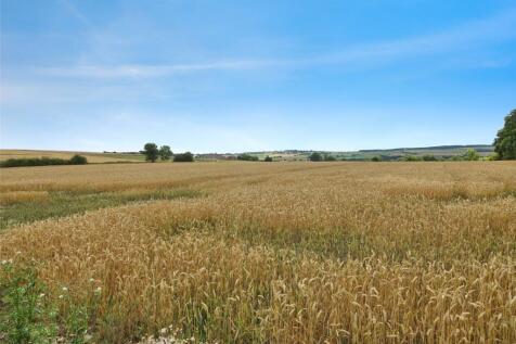 View Over Fields