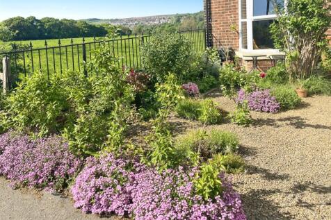 Summer Front Garden