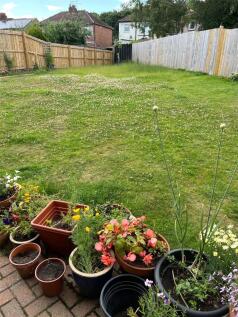Garden In Summer