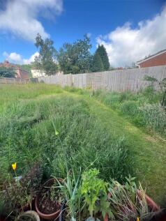 Garden In Summer