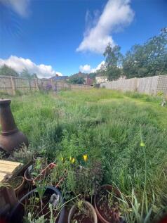 Garden In Summer