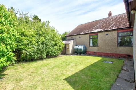 Back Garden
