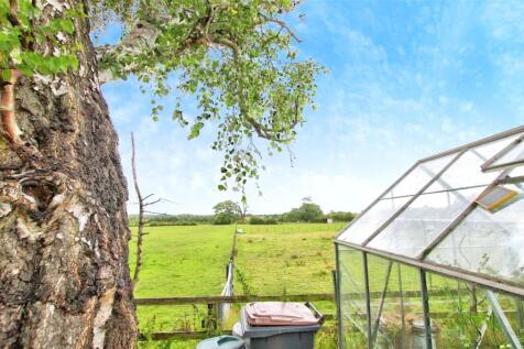 View From Garden