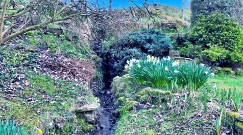 Seasonal Waterfall