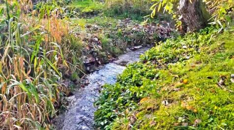 Seasonal Stream