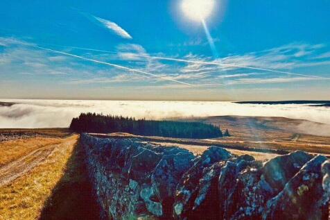 Local Scenery