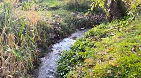 Seasonal Stream