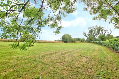 Top Paddock