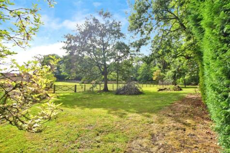 Bottom Paddock