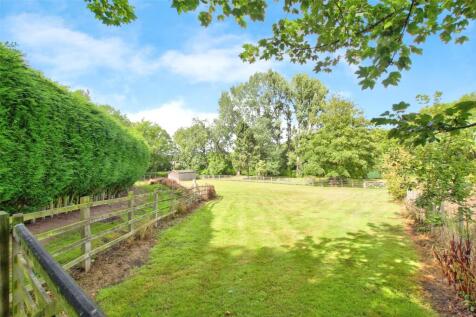 Bottom Paddock