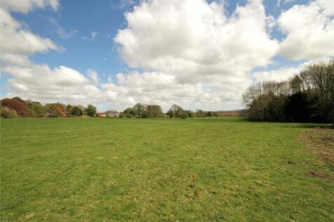 Grounds