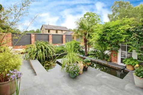 Patio and Pond