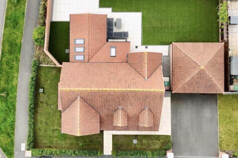 Plot View
