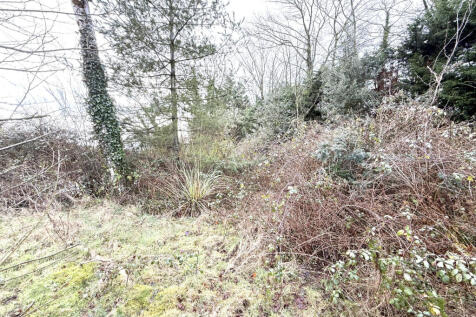 Property Image 37
