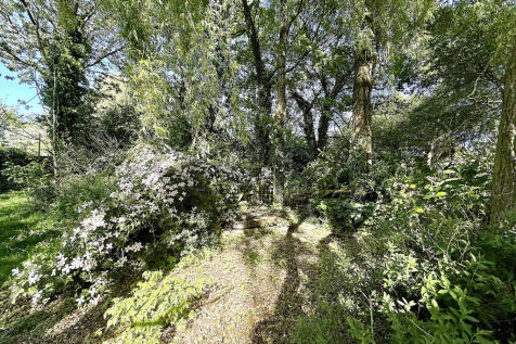 Property Image 39