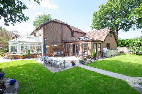 Property Image 41