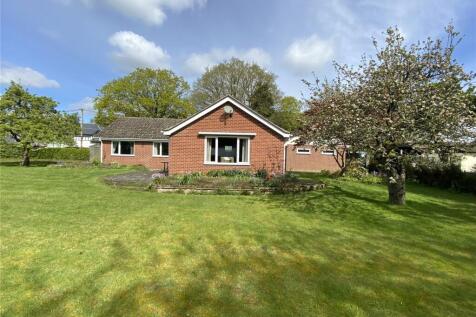 Rear Of Bungalow