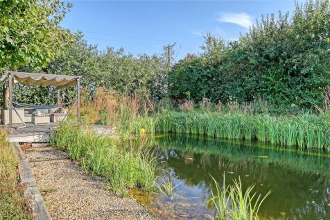 Natural Pond