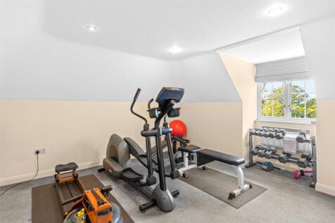 Bedroom/Gym