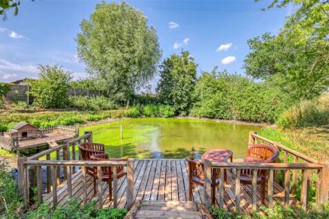 Pond