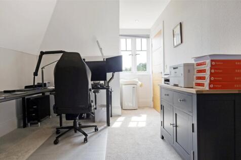 Study Area