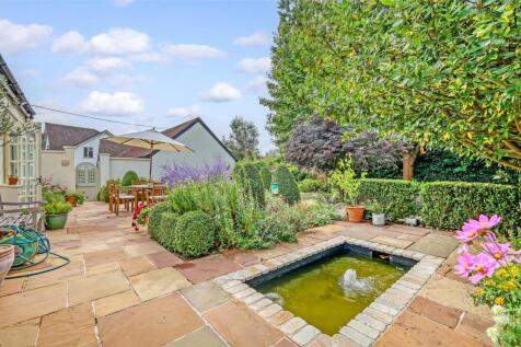 Terrace/Pond