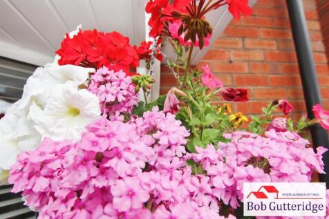 FORE GARDEN