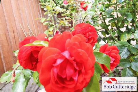 9ea23927-IMG_6708.JPG