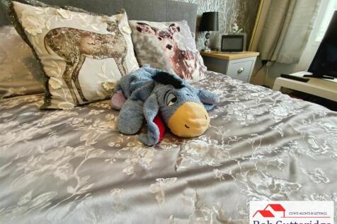338a143e-IMG_1561.JPG