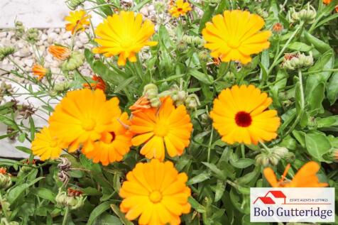 tlc_699de2fe-a3cf-4d5f-af30-f051dfd1bfd9_5b1e6a0.j