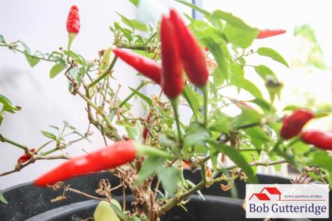 tlc_0d31ae58-4482-4427-b881-ce7e50a710e9_1a36546.j