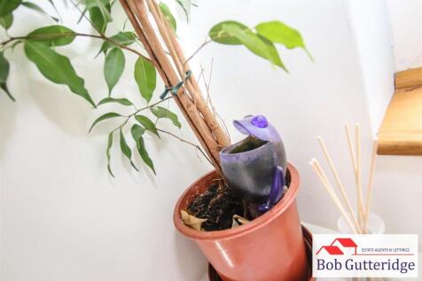 tlc_db039644-b4f2-453c-a8fd-20548c51a6bc_ddee242.j