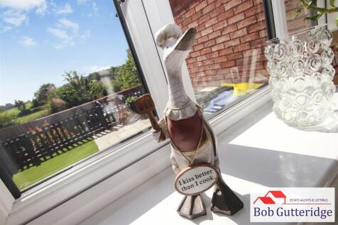 tlc_5c028d1a-5b8e-475b-a397-2dd028f4dad0_c16546f.j