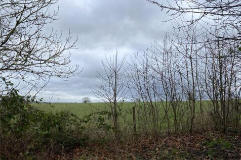 Filed Views