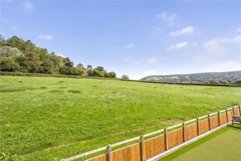 Field View