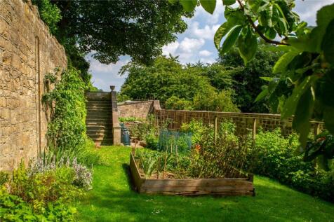 Vegetable Patch