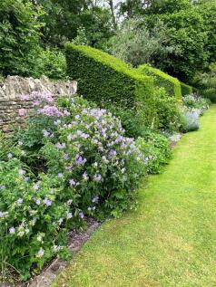 Flower Beds