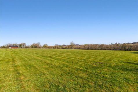 Paddock