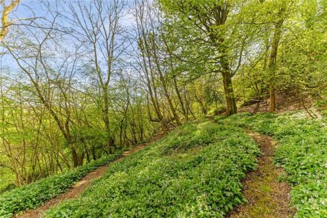 Woodland
