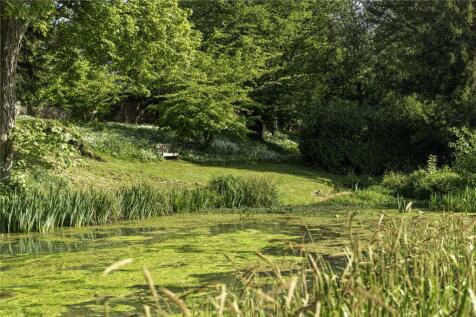 Pond