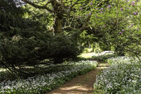 Wild Garlic Walk