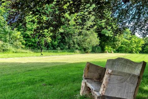 Garden &amp; Trees