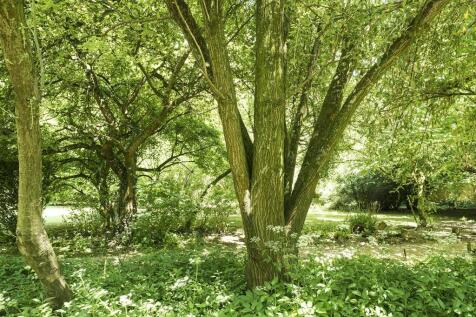 Woodland