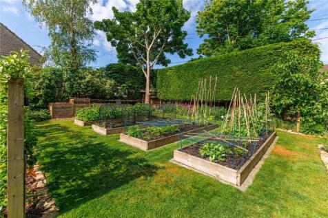 Vegetable Beds