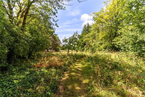 Wooded/Wild Area
