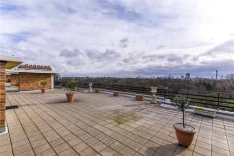 Communal Terrace