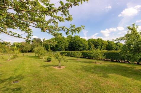 Orchard