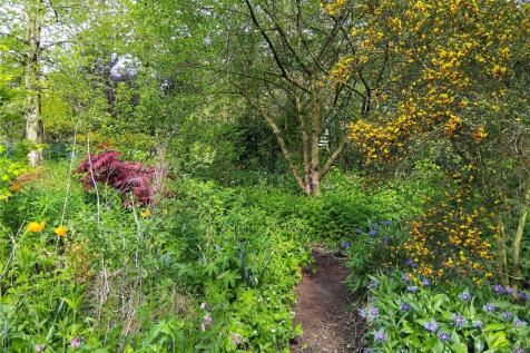 Woodland Garden