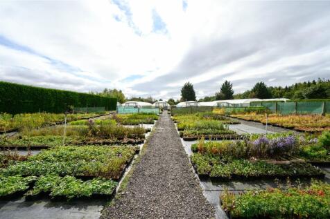 Nursery