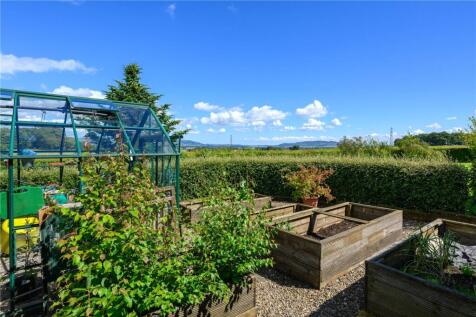 Kitchen Garden